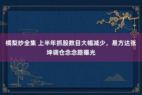 橘梨纱全集 上半年抓股数目大幅减少，易方达张坤调仓念念路曝光