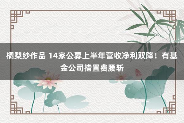 橘梨纱作品 14家公募上半年营收净利双降！有基金公司措置费腰斩