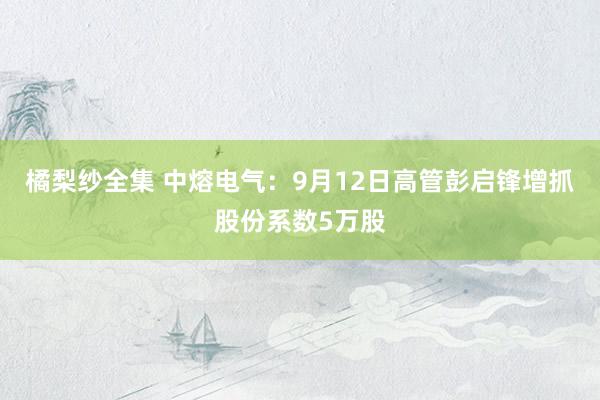 橘梨纱全集 中熔电气：9月12日高管彭启锋增抓股份系数5万股