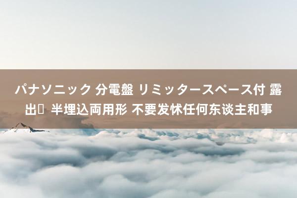 パナソニック 分電盤 リミッタースペース付 露出・半埋込両用形 不要发怵任何东谈主和事