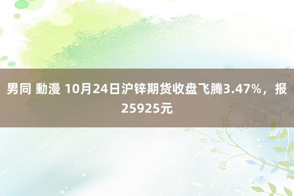 男同 動漫 10月24日沪锌期货收盘飞腾3.47%，报25925元