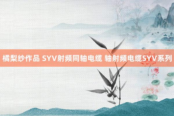 橘梨纱作品 SYV射频同轴电缆 轴射频电缆SYV系列