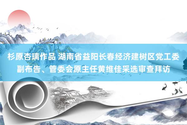 杉原杏璃作品 湖南省益阳长春经济建树区党工委副布告、管委会原主任黄维佳采选审查拜访