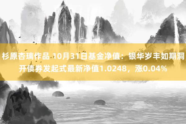 杉原杏璃作品 10月31日基金净值：银华岁丰如期洞开债券发起式最新净值1.0248，涨0.04%