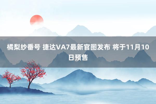 橘梨纱番号 捷达VA7最新官图发布 将于11月10日预售