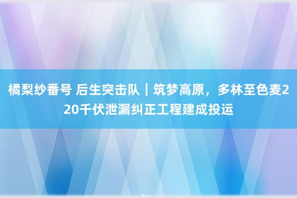 橘梨纱番号 后生突击队｜筑梦高原，多林至色麦220千伏泄漏纠正工程建成投运