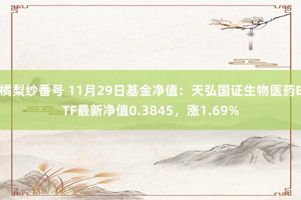 橘梨纱番号 11月29日基金净值：天弘国证生物医药ETF最新净值0.3845，涨1.69%