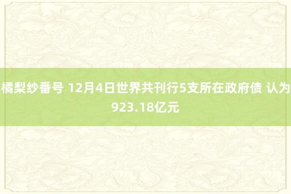 橘梨纱番号 12月4日世界共刊行5支所在政府债 认为923.18亿元