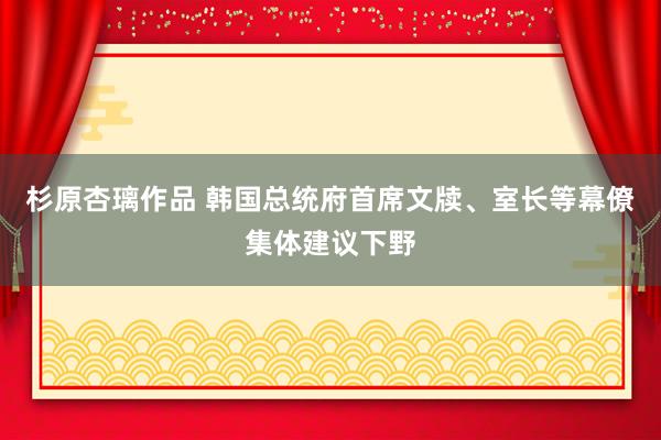 杉原杏璃作品 韩国总统府首席文牍、室长等幕僚集体建议下野