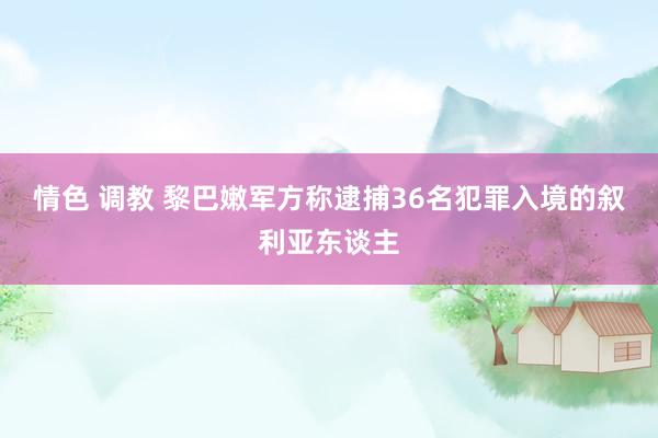 情色 调教 黎巴嫩军方称逮捕36名犯罪入境的叙利亚东谈主