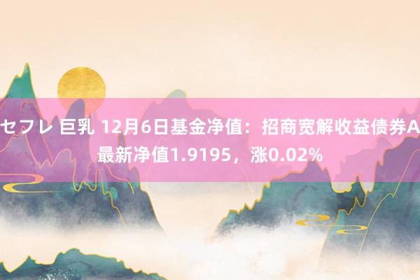 セフレ 巨乳 12月6日基金净值：招商宽解收益债券A最新净值1.9195，涨0.02%