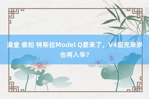 澡堂 偷拍 特斯拉Model Q要来了，V4超充来岁也将入华？