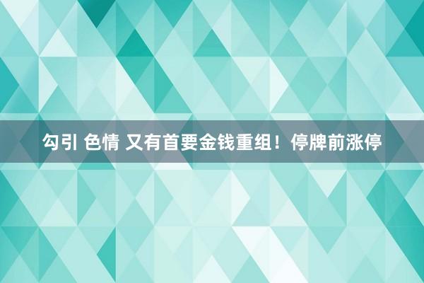 勾引 色情 又有首要金钱重组！停牌前涨停