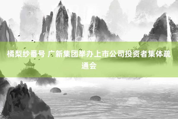 橘梨纱番号 广新集团举办上市公司投资者集体疏通会