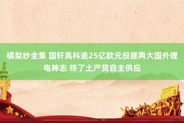 橘梨纱全集 国轩高科逾25亿欧元投建两大国外锂电神志 终了土产货自主供应