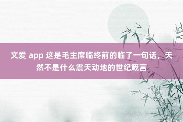 文爱 app 这是毛主席临终前的临了一句话，天然不是什么震天动地的世纪箴言