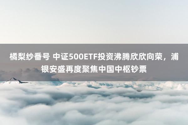 橘梨纱番号 中证500ETF投资沸腾欣欣向荣，浦银安盛再度聚焦中国中枢钞票