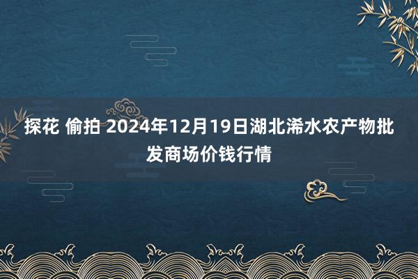 探花 偷拍 2024年12月19日湖北浠水农产物批发商场价钱行情