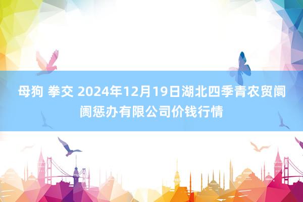 母狗 拳交 2024年12月19日湖北四季青农贸阛阓惩办有限公司价钱行情