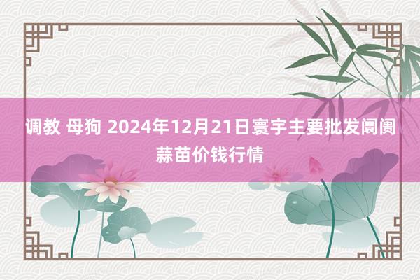 调教 母狗 2024年12月21日寰宇主要批发阛阓蒜苗价钱行情