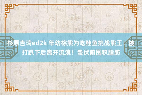 杉原杏璃ed2k 年幼棕熊为吃鲑鱼挑战熊王！被打趴下后离开流浪！蛰伏前囤积脂肪