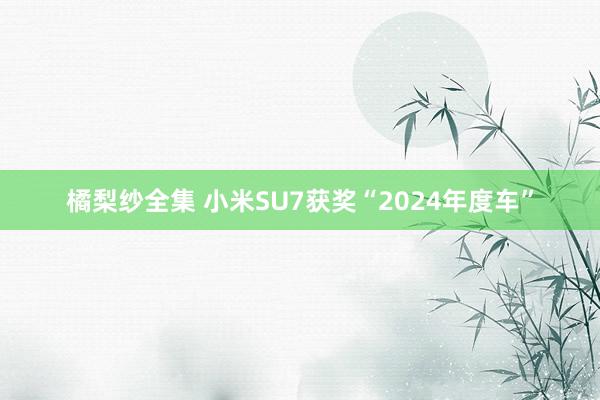 橘梨纱全集 小米SU7获奖“2024年度车”