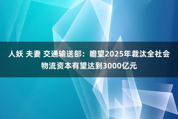 人妖 夫妻 交通输送部：瞻望2025年裁汰全社会物流资本有望达到3000亿元