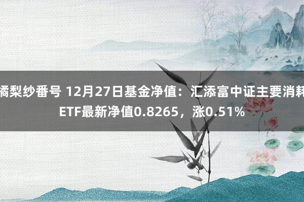 橘梨纱番号 12月27日基金净值：汇添富中证主要消耗ETF最新净值0.8265，涨0.51%