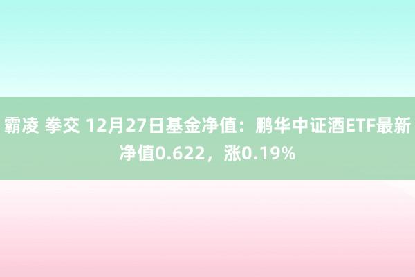 霸凌 拳交 12月27日基金净值：鹏华中证酒ETF最新净值0.622，涨0.19%