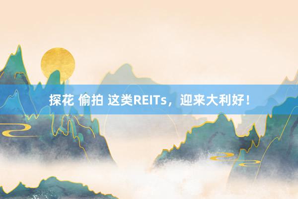 探花 偷拍 这类REITs，迎来大利好！