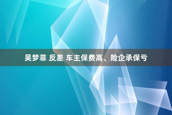 吴梦菲 反差 车主保费高、险企承保亏