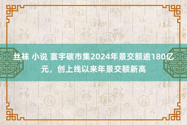 丝袜 小说 寰宇碳市集2024年景交额逾180亿元，创上线以来年景交额新高