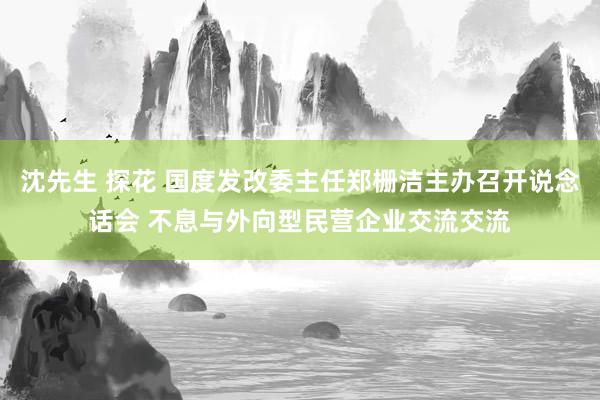 沈先生 探花 国度发改委主任郑栅洁主办召开说念话会 不息与外向型民营企业交流交流