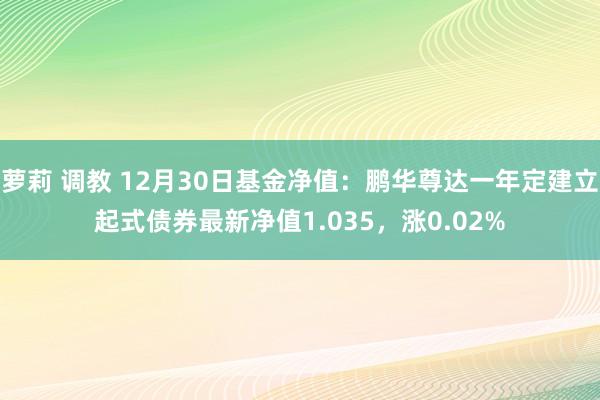 萝莉 调教 12月30日基金净值：鹏华尊达一年定建立起式债券最新净值1.035，涨0.02%