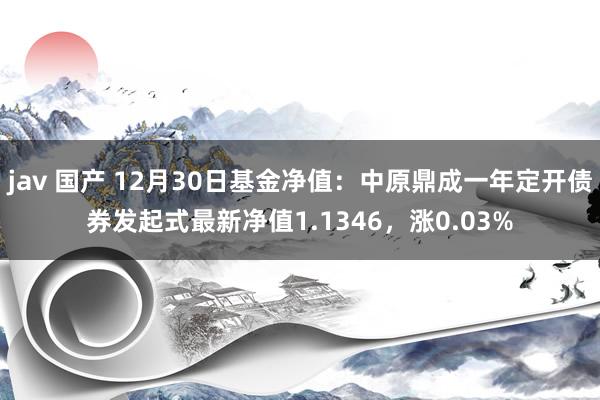 jav 国产 12月30日基金净值：中原鼎成一年定开债券发起式最新净值1.1346，涨0.03%