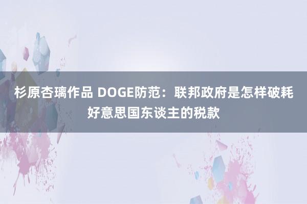 杉原杏璃作品 DOGE防范：联邦政府是怎样破耗好意思国东谈主的税款