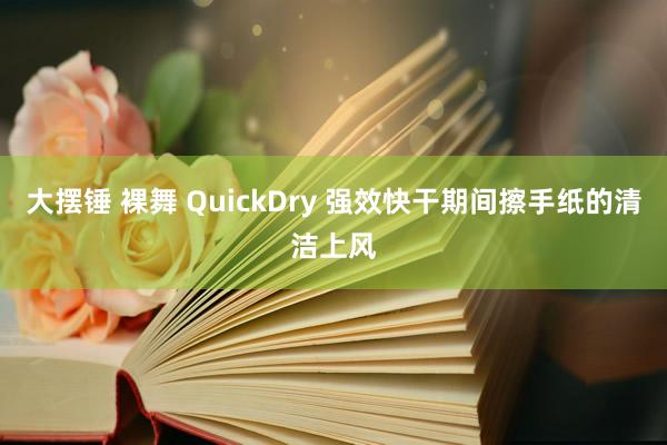 大摆锤 裸舞 QuickDry 强效快干期间擦手纸的清洁上风