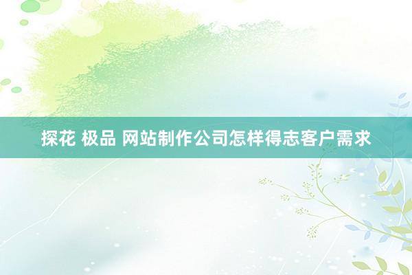 探花 极品 网站制作公司怎样得志客户需求