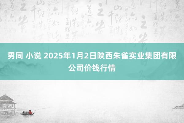 男同 小说 2025年1月2日陕西朱雀实业集团有限公司价钱行情