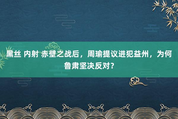 黑丝 内射 赤壁之战后，周瑜提议进犯益州，为何鲁肃坚决反对？