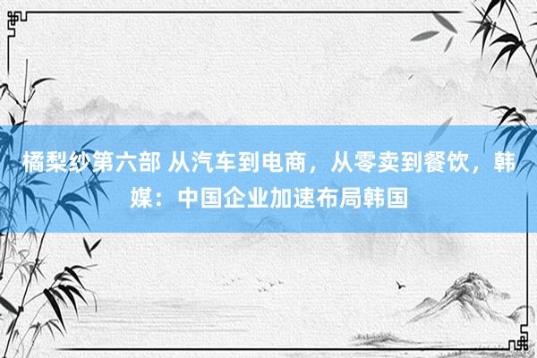 橘梨纱第六部 从汽车到电商，从零卖到餐饮，韩媒：中国企业加速布局韩国