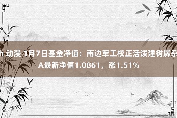 h 动漫 1月7日基金净值：南边军工校正活泼建树羼杂A最新净值1.0861，涨1.51%