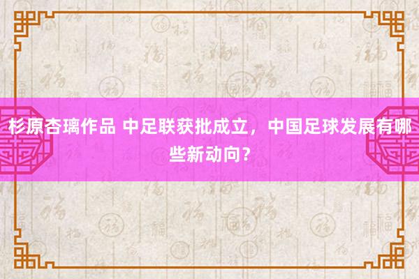 杉原杏璃作品 中足联获批成立，中国足球发展有哪些新动向？