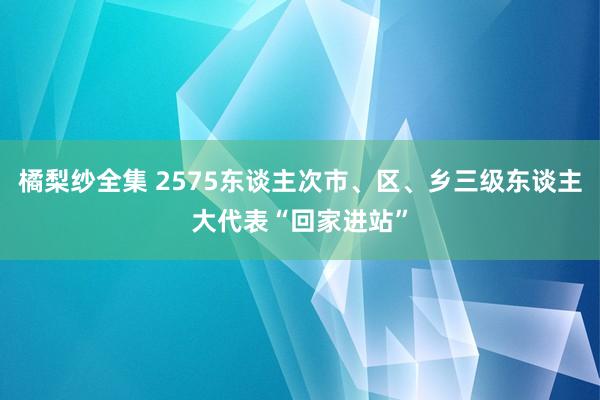 橘梨纱全集 2575东谈主次市、区、乡三级东谈主大代表“回家进站”