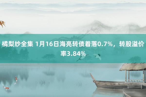 橘梨纱全集 1月16日海亮转债着落0.7%，转股溢价率3.84%