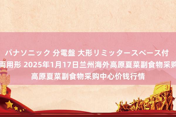 パナソニック 分電盤 大形リミッタースペース付 露出・半埋込両用形 2025年1月17日兰州海外高原夏菜副食物采购中心价钱行情