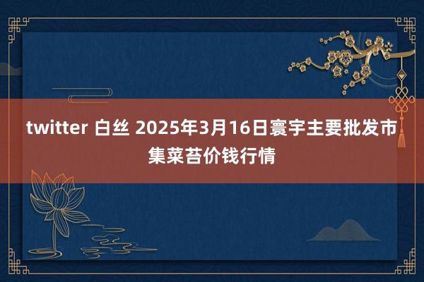 twitter 白丝 2025年3月16日寰宇主要批发市集菜苔价钱行情